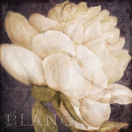 Framed Coleurs Blanc Print