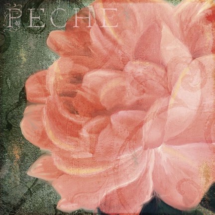 Framed Coleurs Peche Print