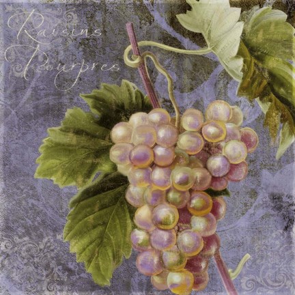 Framed Violette II Print