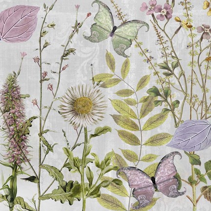 Framed Botanique II Print