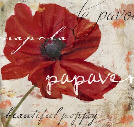 Framed Le Pavot I Print