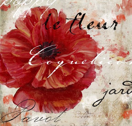 Framed Le Pavot II Print