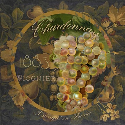 Framed Wines of France I Print