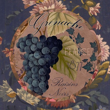 Framed Wines of France IV Print