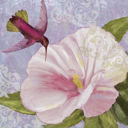 Framed Humming Hibiscus II Print