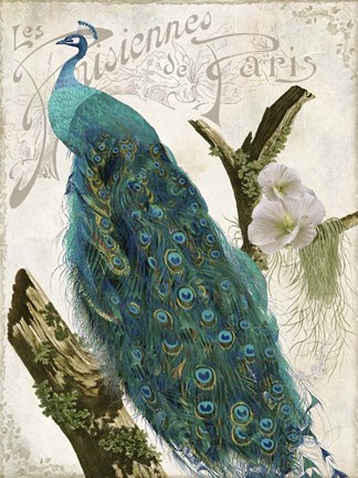 Framed Les Paons I Print