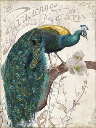 Framed Les Paons II Print