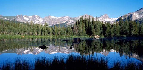 Framed Indian Peaks reflected in Red Rock Lake Boulder Colorado Print