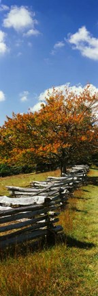 Framed Fence in a Park, Blue Ridge Parkway, Virginia Print