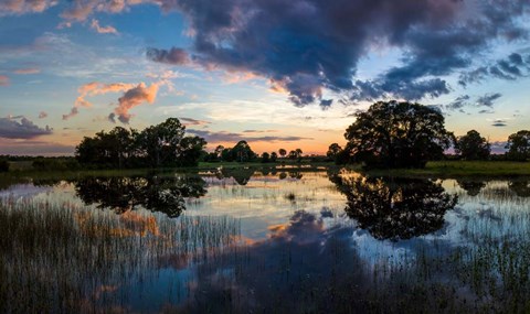 Framed Small Pond at Sunset, Venice, Florida Print
