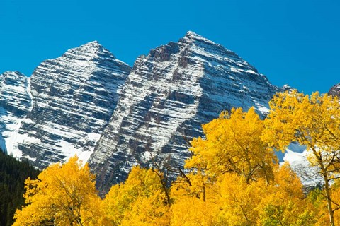 Framed Trees with Mountain Range in the Background, Maroon Creek Valley, Aspen, Colorado Print