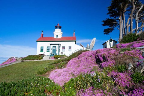 Framed Battery Point Lighthouse, Crescent City, California Print