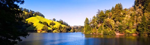 Framed Trees at Lakeshore, Lake Lagunitas, California Print