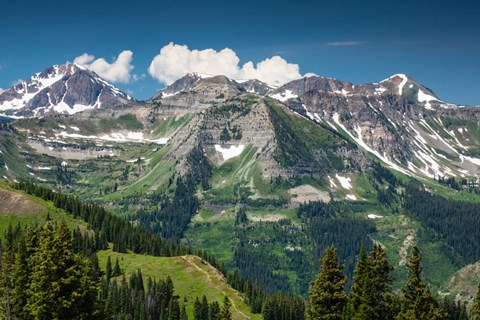 Framed Trees on a Mountain, Crested Butte, Colorado Print