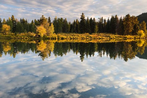 Framed Reflection of Clouds on Water, Grand Teton National Park, Wyoming Print