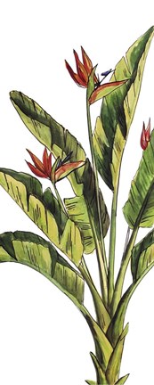 Framed Tropical Palm Paradise I Print