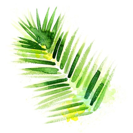 Framed Tropical Icons Palm Frond Print