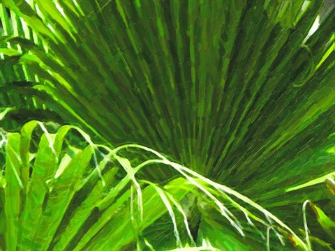 Framed Painted Ferns II Print