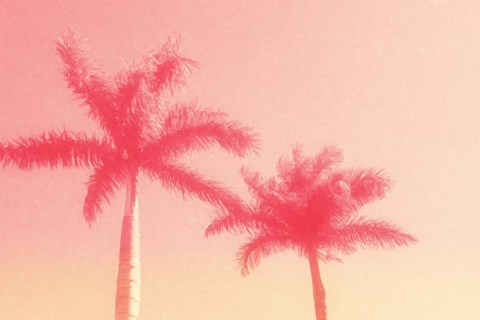 Framed Palm Trees in Pink Print