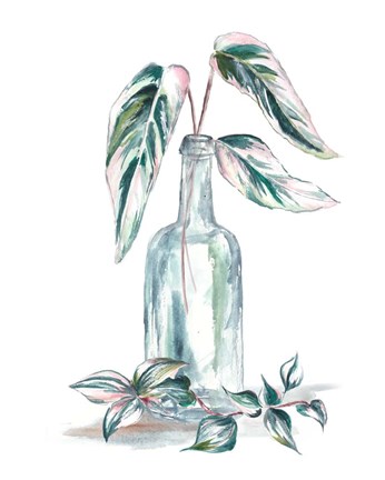Framed Island Tropics Frond in Bottle III Print