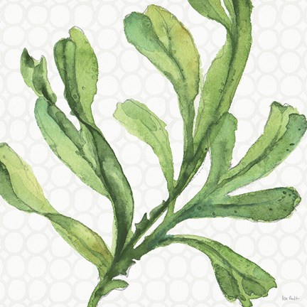 Framed Mixed Greens XIX Print
