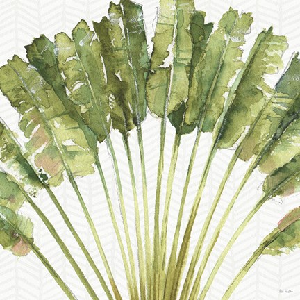 Framed Mixed Greens VIII Print