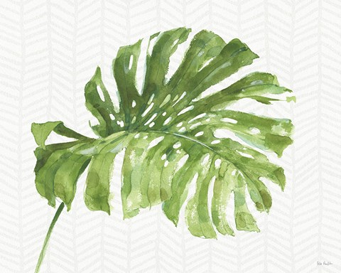 Framed Mixed Greens LXXXI Print