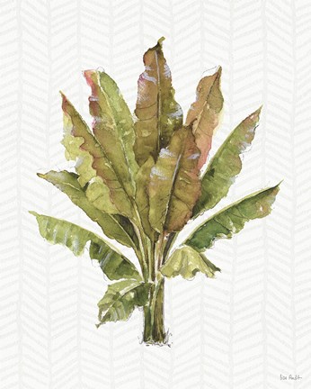 Framed Mixed Greens IX Print