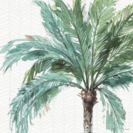 Framed Mixed Greens IV Print