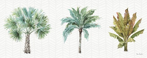 Framed Mixed Greens XV Print