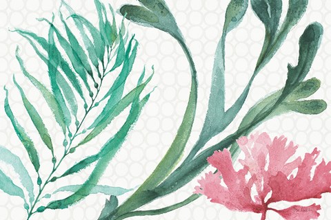 Framed Mixed Greens XVIII Print