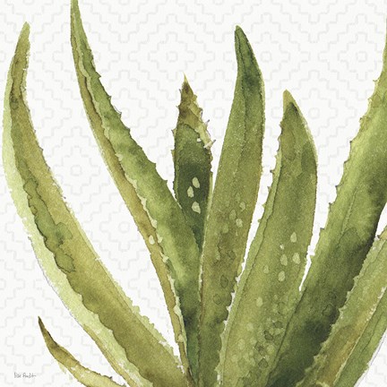 Framed Mixed Greens XXXVIII Print