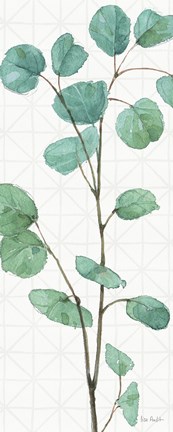 Framed Mixed Greens LIX Print