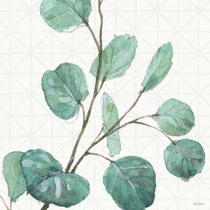 Framed Mixed Greens LI Print