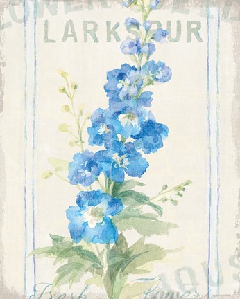 Framed Floursack Florals VII Print