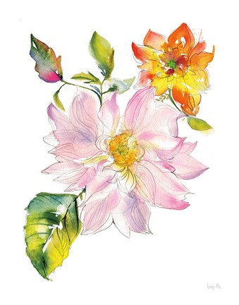 Framed Dahlia Delight of the Day II Print