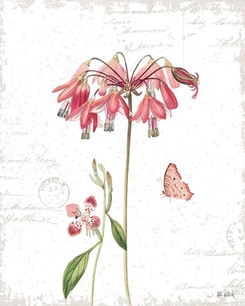 Framed Spring Fields V Print