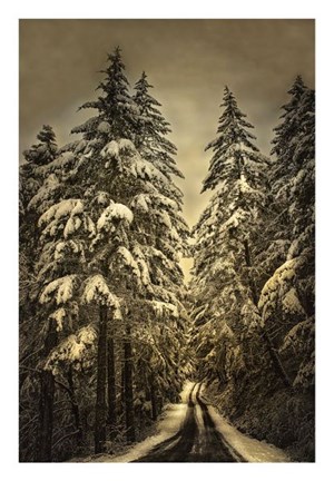 Framed Wagner Creek Snow Print