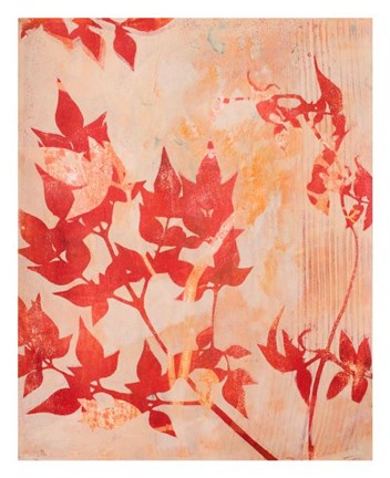 Framed Scent of Jasmine Print
