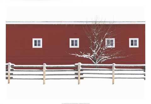 Framed Red Bitterroot Barn Print