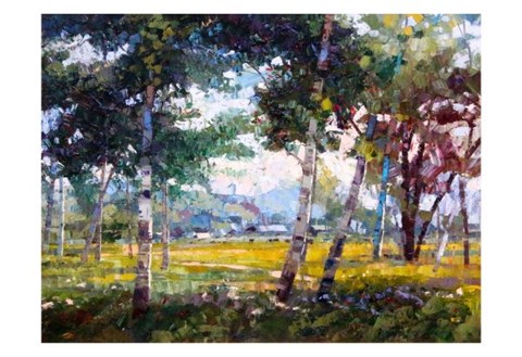 Framed In the Shade Print