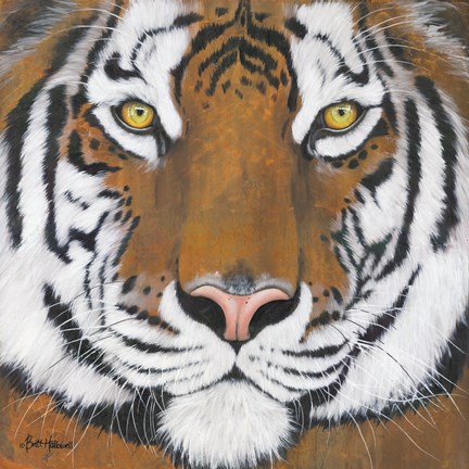 Framed Tiger Gaze Print