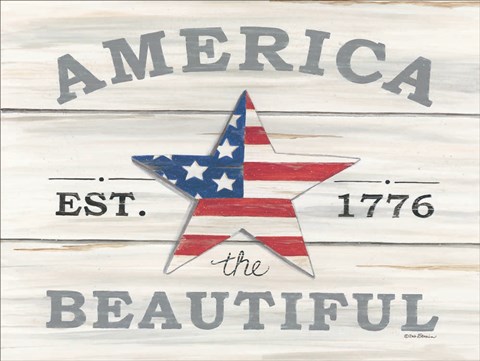 Framed America the Beautiful Star Print