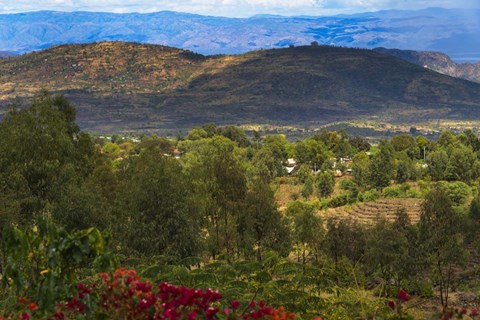 Framed Red flowers and Farmland in the Mountain, Konso, Ethiopia Print