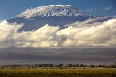 Framed Amboseli National Park, Kenya Print