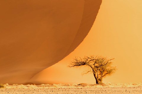 Framed Namib-Naukluft National Park, Namibia Print