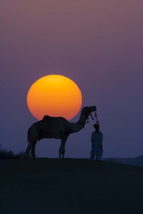 Framed Camel and Person at Sunset, Thar Desert, Rajasthan, India Print