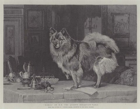 Framed Macro on HM the Queen&#39;s Breakfast Table Print