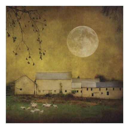 Framed Sheep Under a Harvest Moon Print