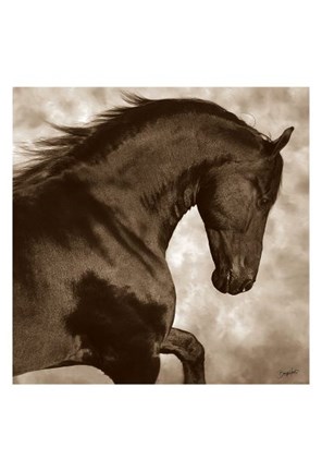 Framed Rio (sepia) Print